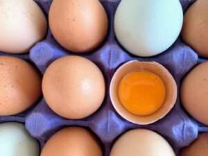 eggs-on-the-egg-tray for healthy lifestyle